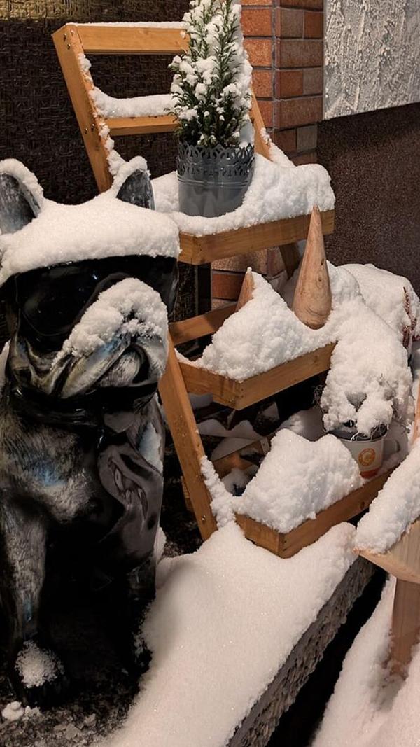 Obacht! Hier ist jemand noch cooler als Schnee und Eis!