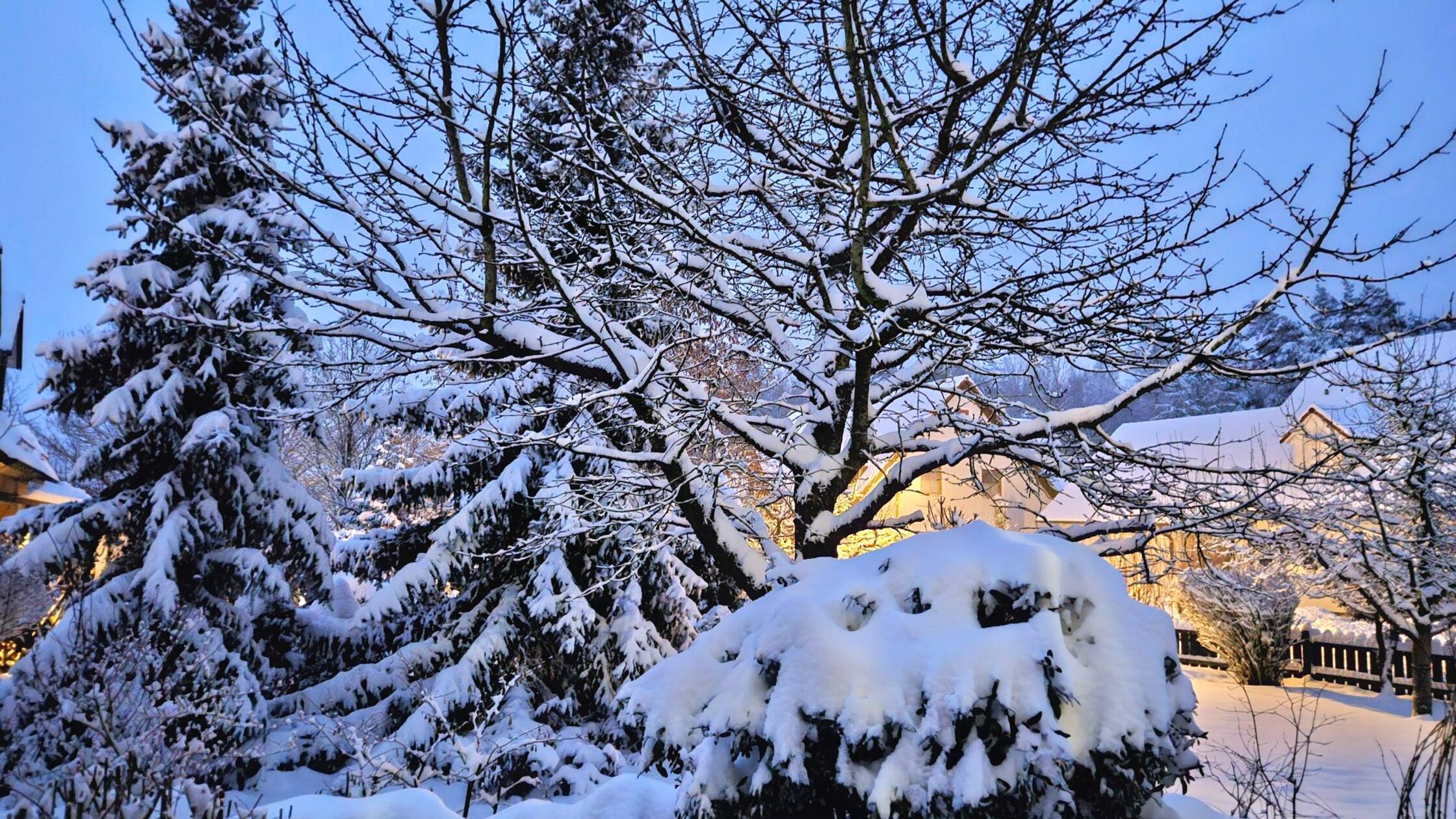 Weiß gezuckert wirken die winterlichen Gärten gleich viel freundlicher als bei Regen und Matsch.