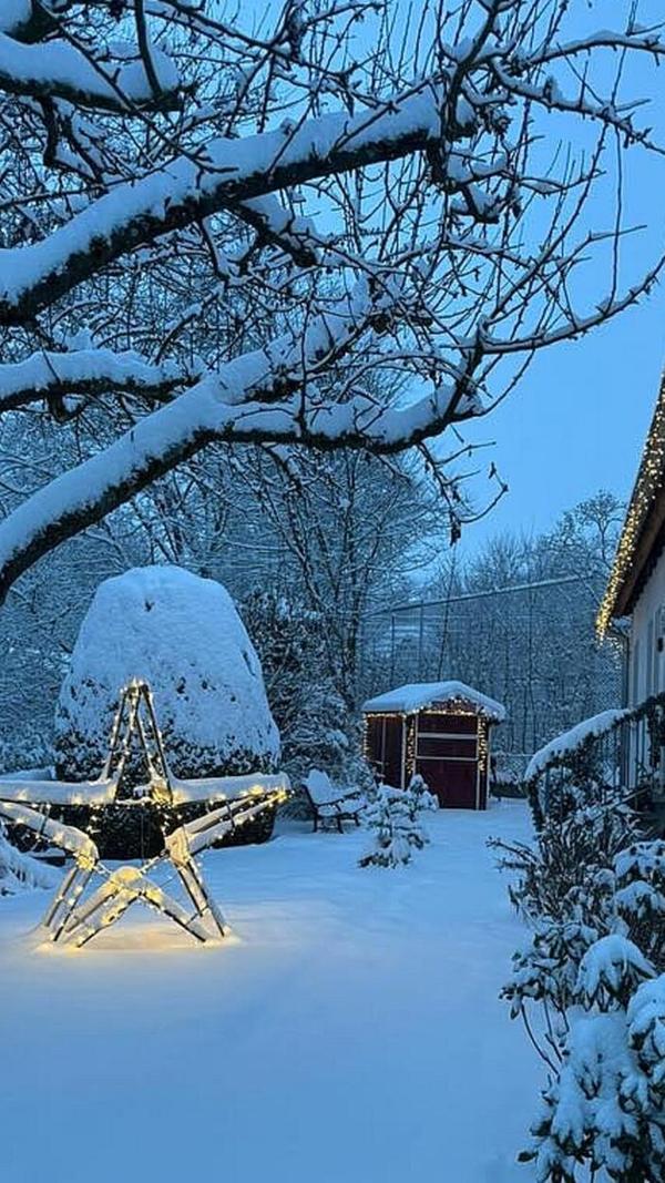 Vor dieser Kulisse hat es sich gelohnt, die Weihnachtsbeleuchtung etwas länger hängen zu lassen.