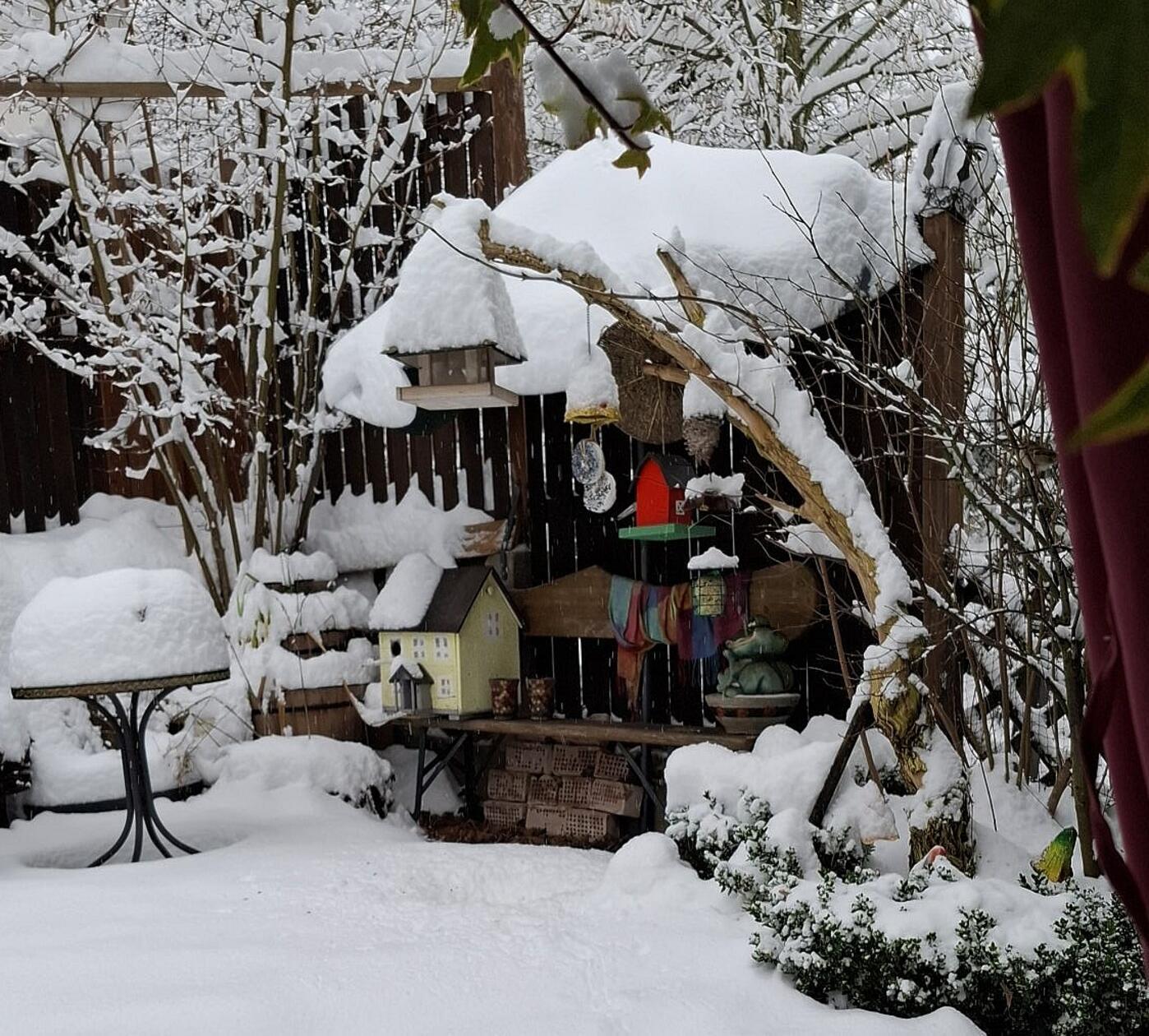 Die bunte Vogelhäuschen-Sammlung wirkt wie ein Stillleben vor weißer Leinwand.