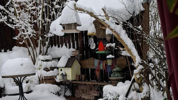 Die bunte Vogelhäuschen-Sammlung wirkt wie ein Stillleben vor weißer Leinwand.