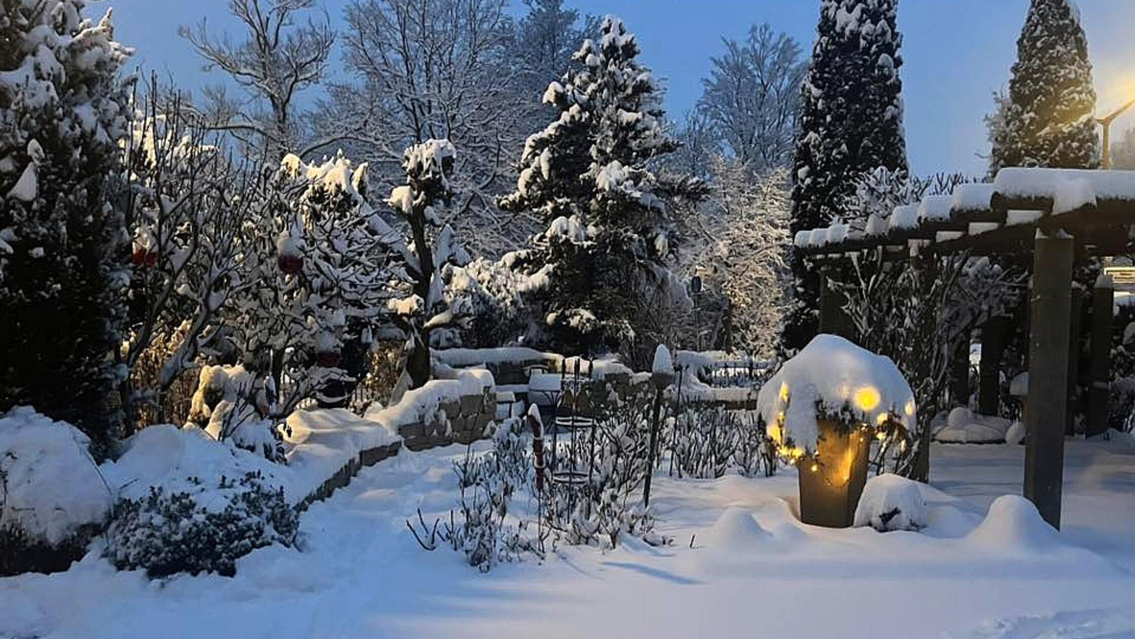 Erste Spuren im Schnee am Morgen im Garten unseres Lesers Marcel Schneider in Rednitzhembach.