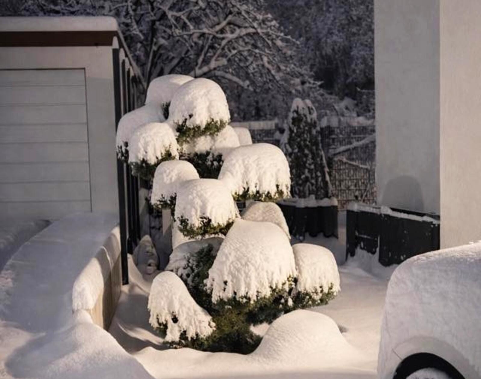 Neuschnee auf dem Tablett serviert...