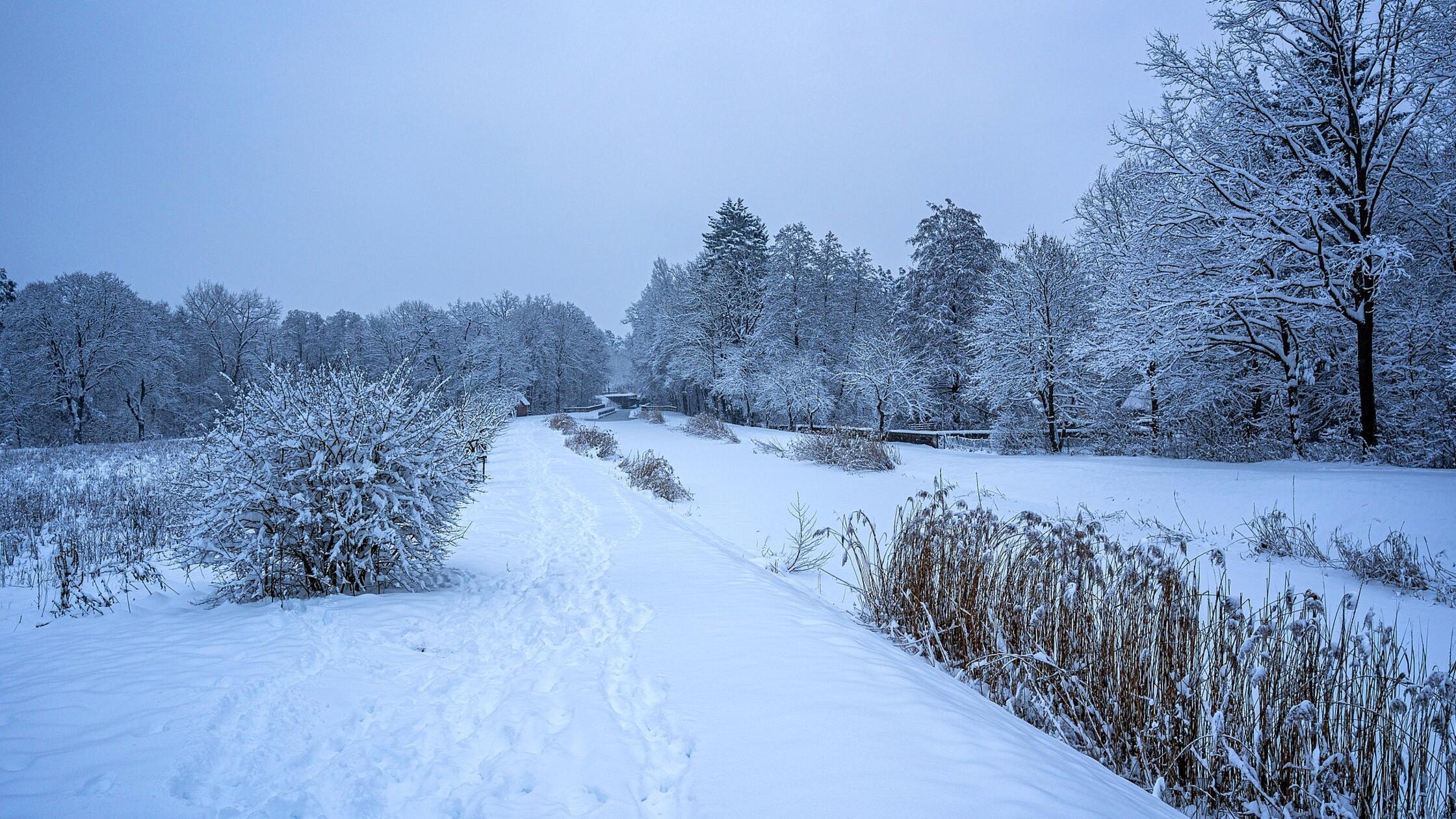 Der Alte Kanal bei Röthenbach/St. Wolfgang ist fast völlig unter der Schneedecke verschwunden.