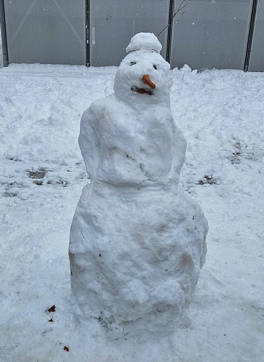Klassisch mit Möhrennase schaut dieser Schneemann in Schwabach wärmeren Zeiten entgegen.