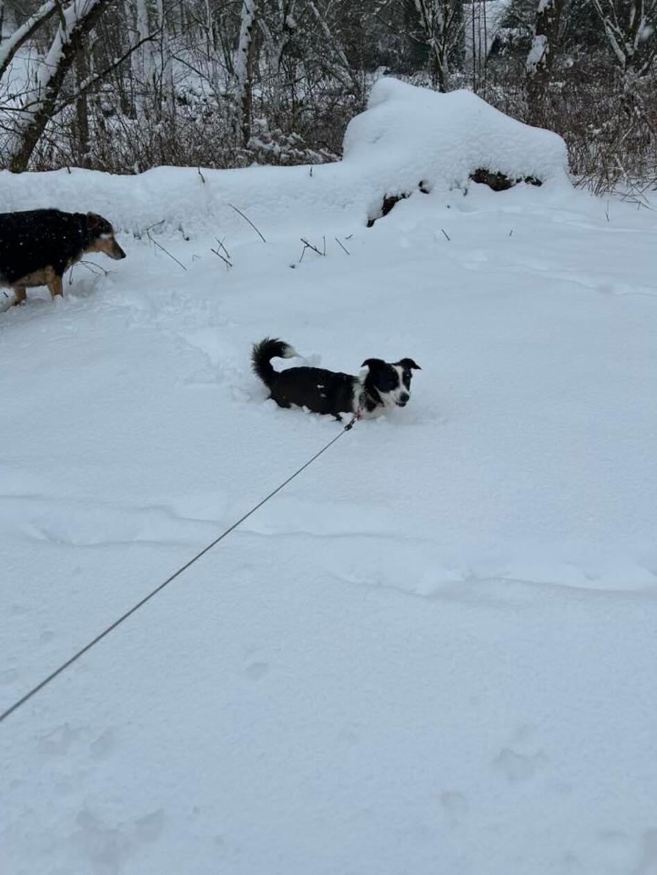 In Neumarkt und Umgebung liegt Schnee so weit das Auge reicht.
