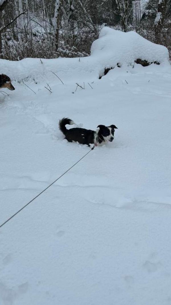 In Neumarkt und Umgebung liegt Schnee so weit das Auge reicht.