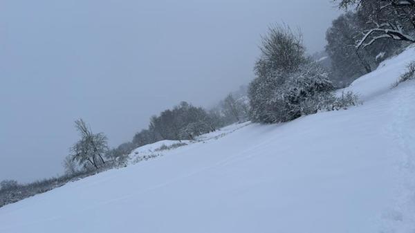 In Neumarkt und Umgebung liegt Schnee so weit das Auge reicht.