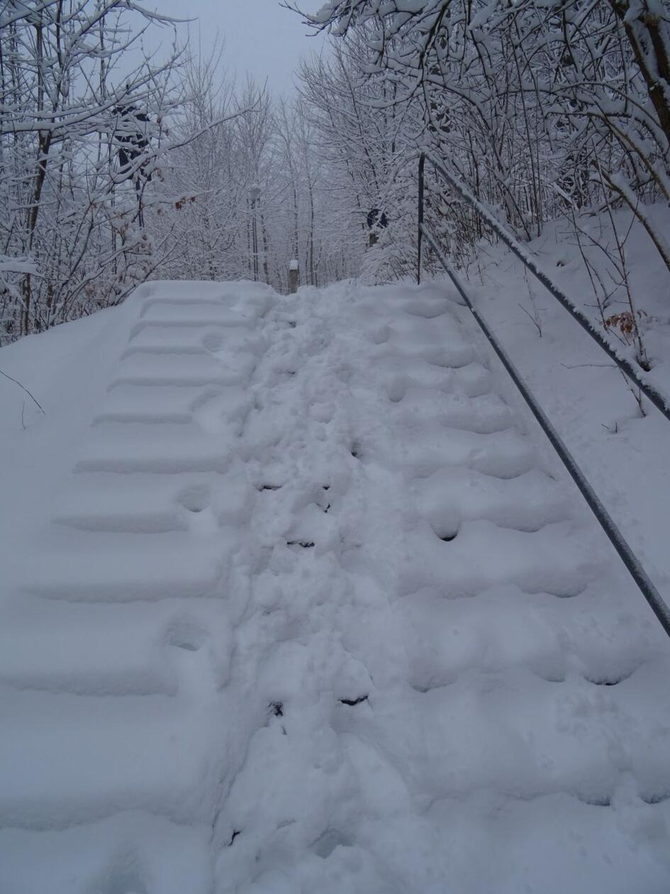 In Neumarkt und Umgebung liegt Schnee so weit das Auge reicht.