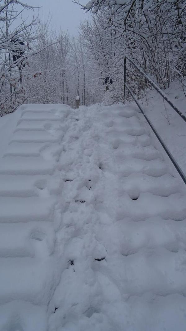 In Neumarkt und Umgebung liegt Schnee so weit das Auge reicht.