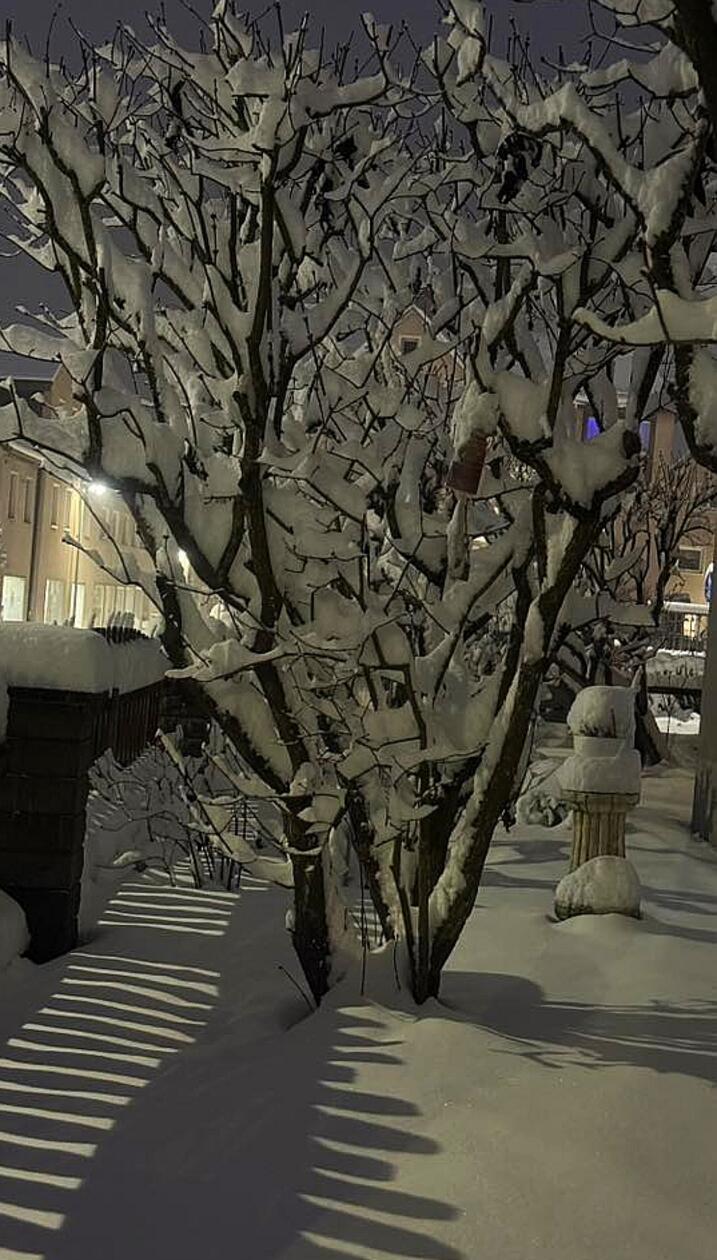 Da hat's fast mehr Schnee als Baum im Garten unserer Leserin und Mitarbeiterin Giuseppina Rita Ferrara.