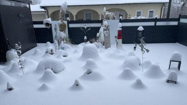 In eine wundersame Hügellandschaft hat die weiße Pracht diesen Vorgarten in Schwanstetten verwandelt.