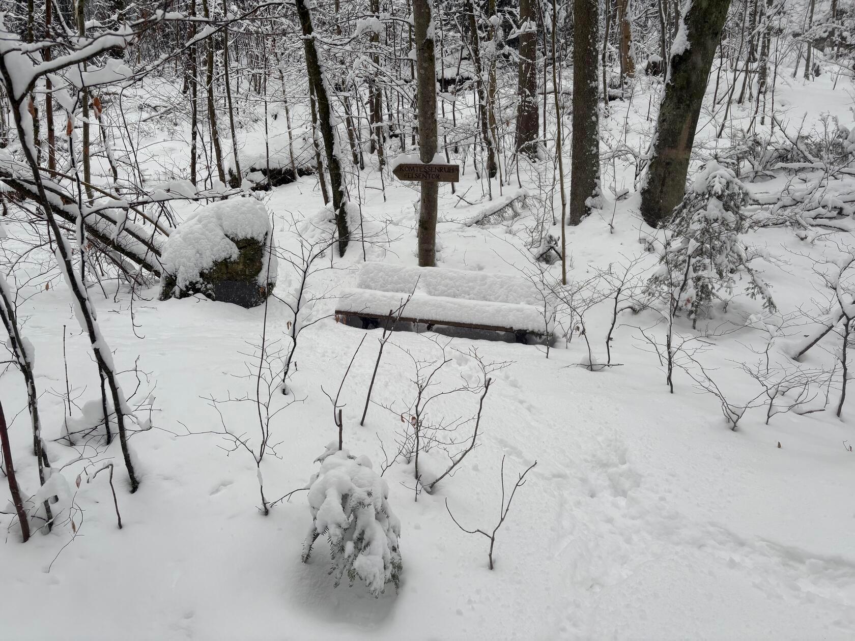 Winter-Impressionen aus der Nähe von Egloffstein.
