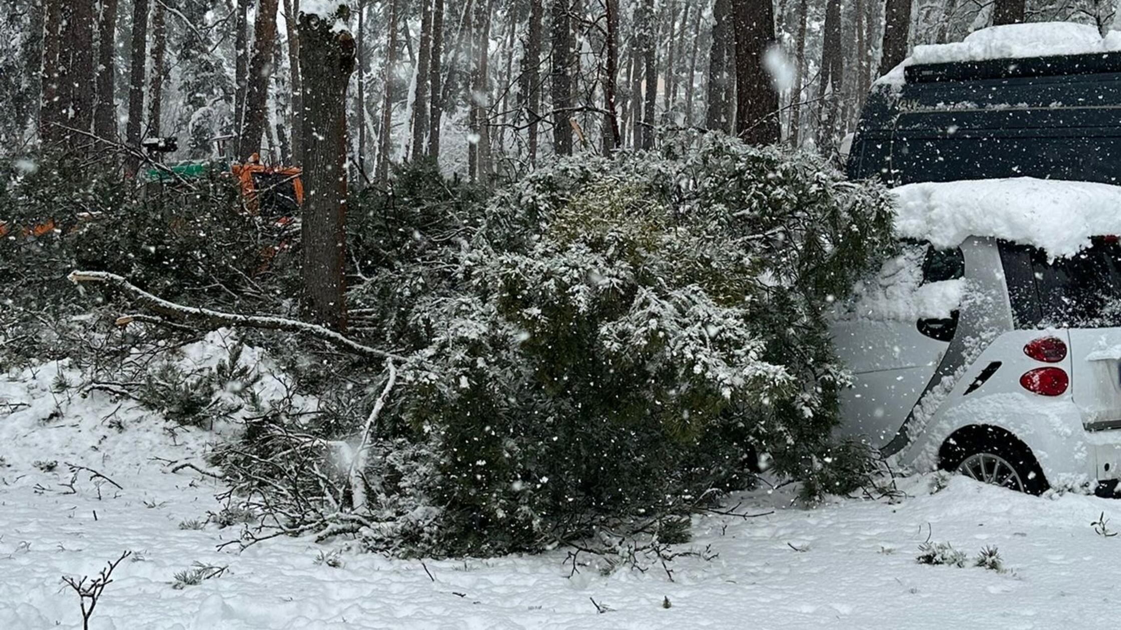 Erlanger-Stadtbusse-fahren-wieder-trotz-Stra-ensperrungen-wegen-umgest-rzter-B-ume