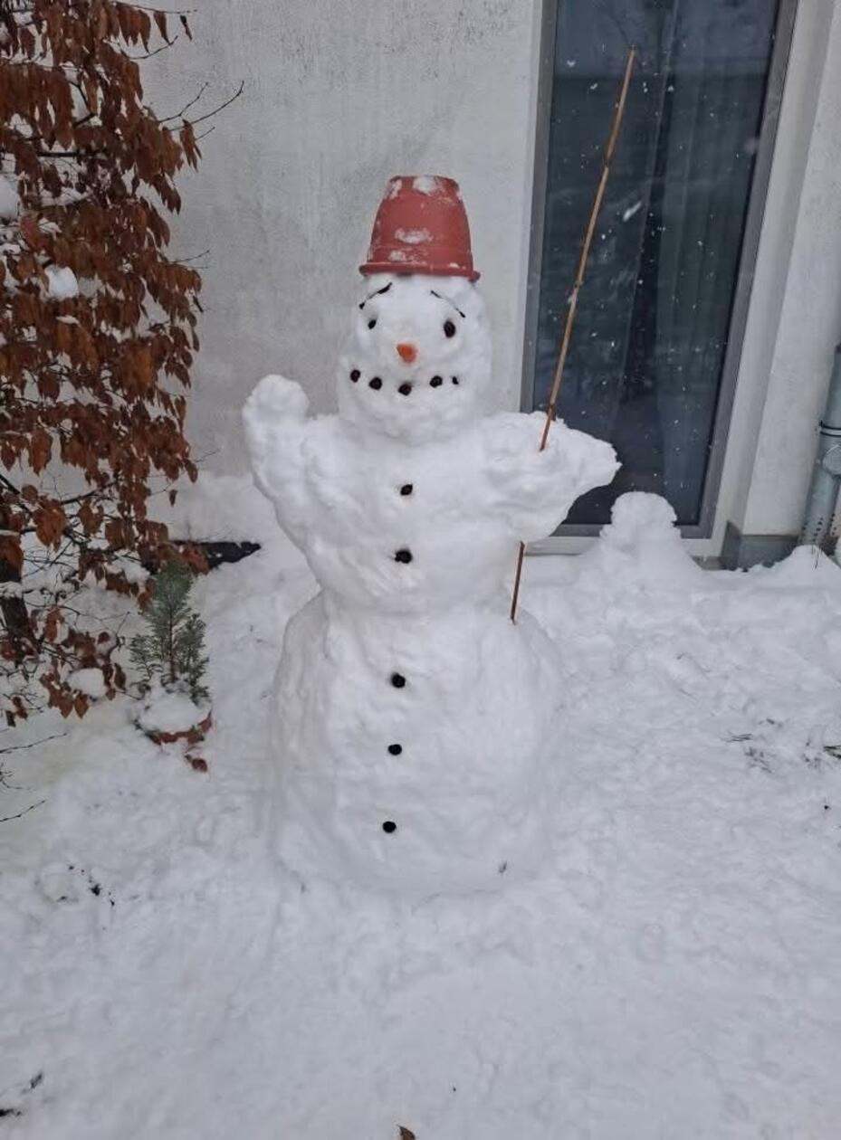 Diesen Schneemann hat uns unsere Leserin Zaneta Cinova geschickt.
