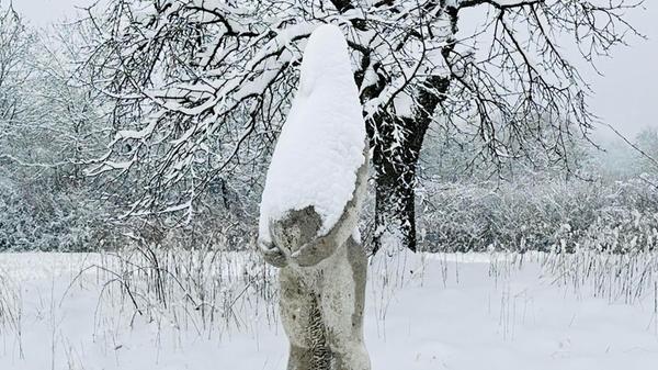 Unser Leser Peter Neumeier hat uns ein Bilder der Skulptur von Monika Ritter am Skulpturenweg Walberla in winterlicher Landschaft geschickt: "Vom Schnee verwandelt in eine kleine, schwangere Schneefrau", schreibt er.