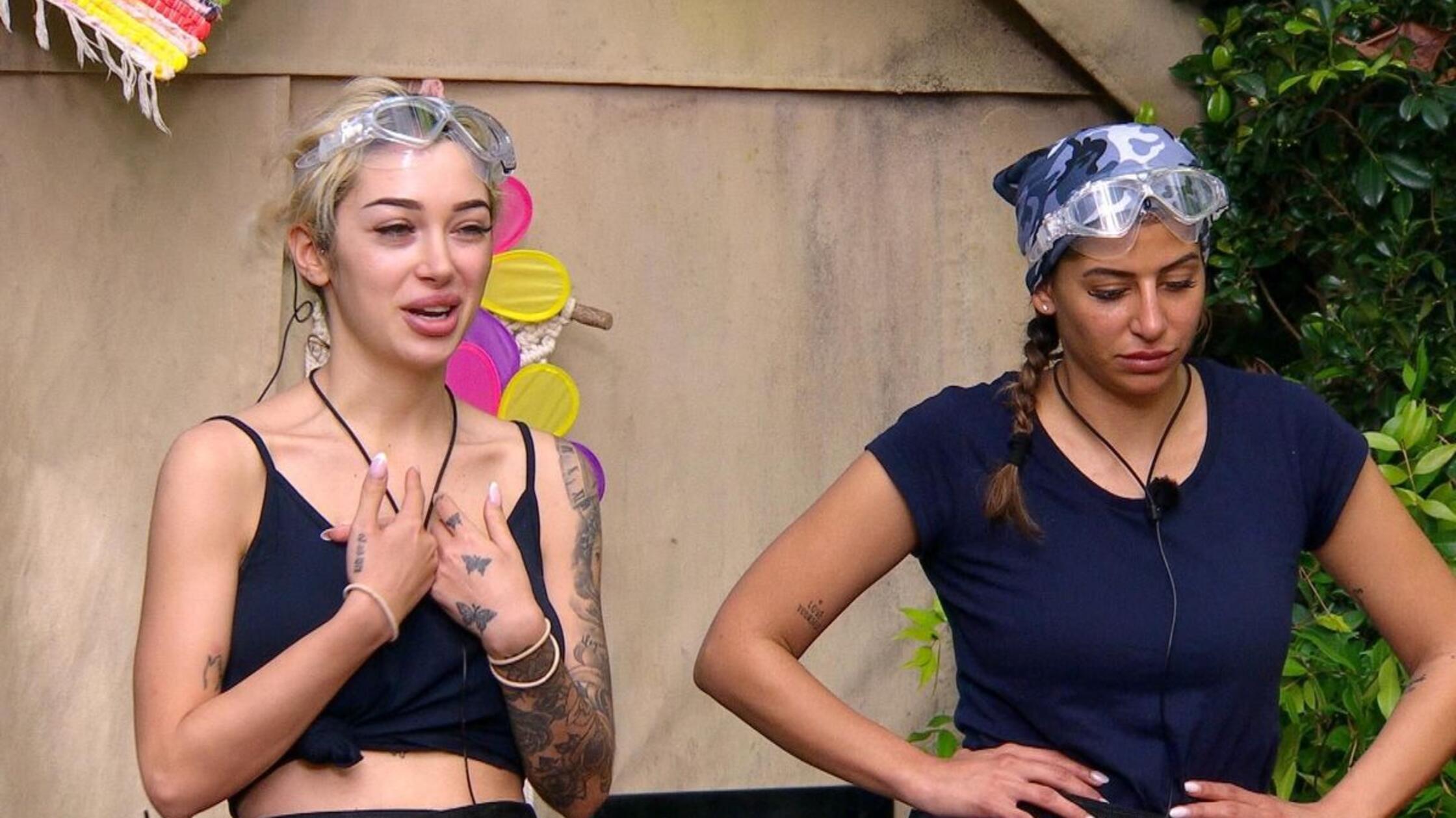  - Ich bin ein Star - Holt mich hier raus! 2026 - 