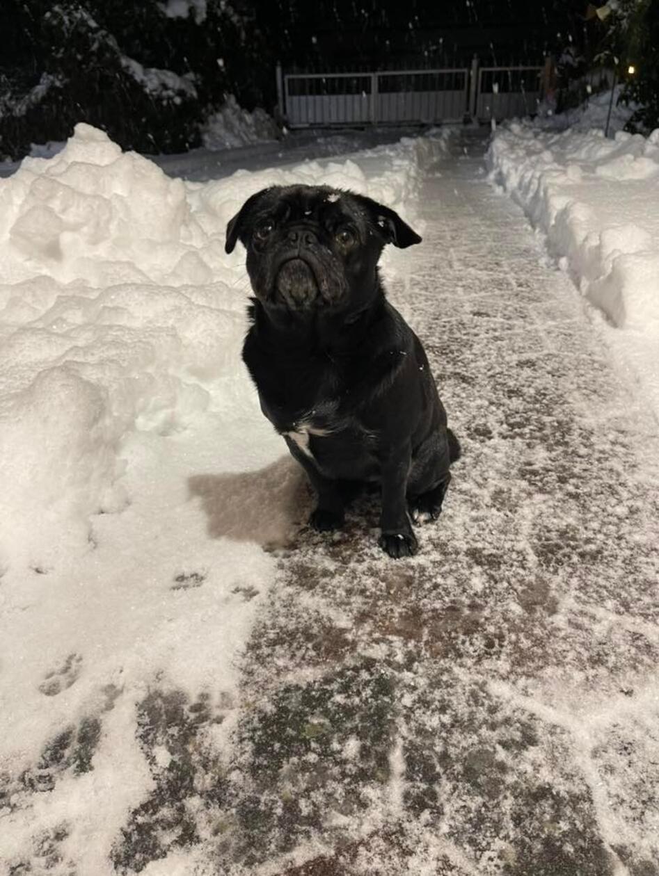 In Neumarkt und Umgebung liegt Schnee so weit das Auge reicht.