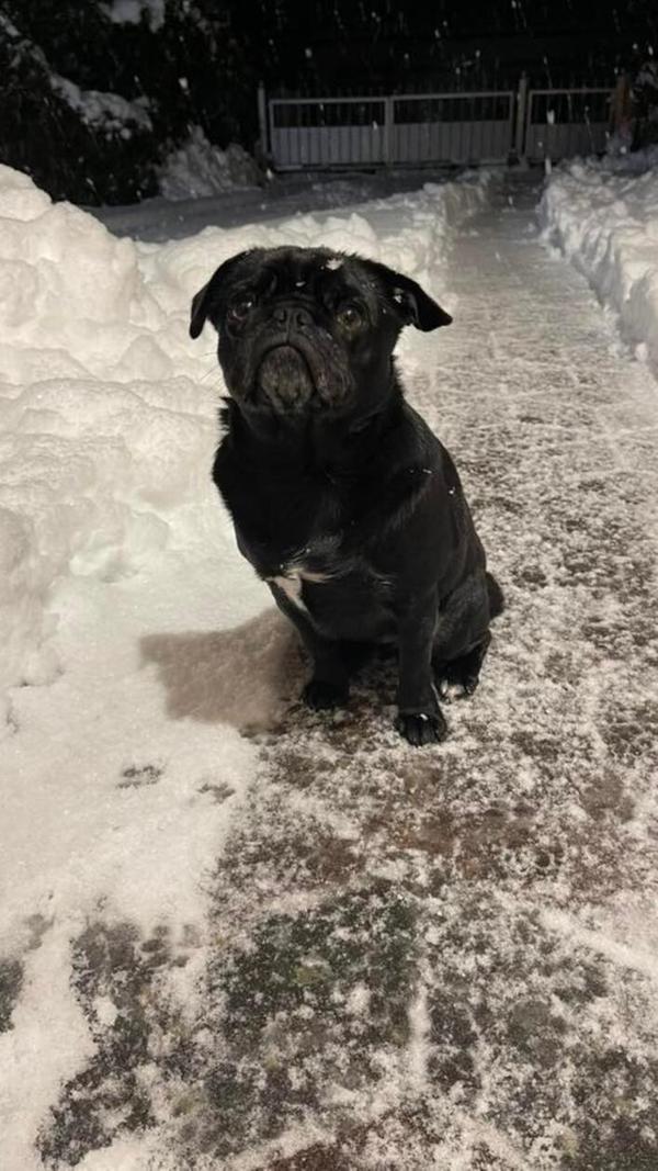 In Neumarkt und Umgebung liegt Schnee so weit das Auge reicht.