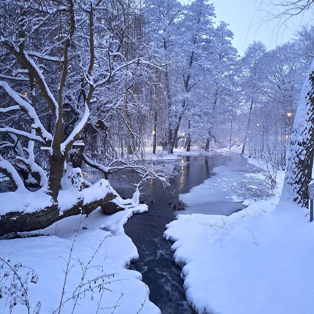 In Neumarkt und Umgebung liegt Schnee so weit das Auge reicht.