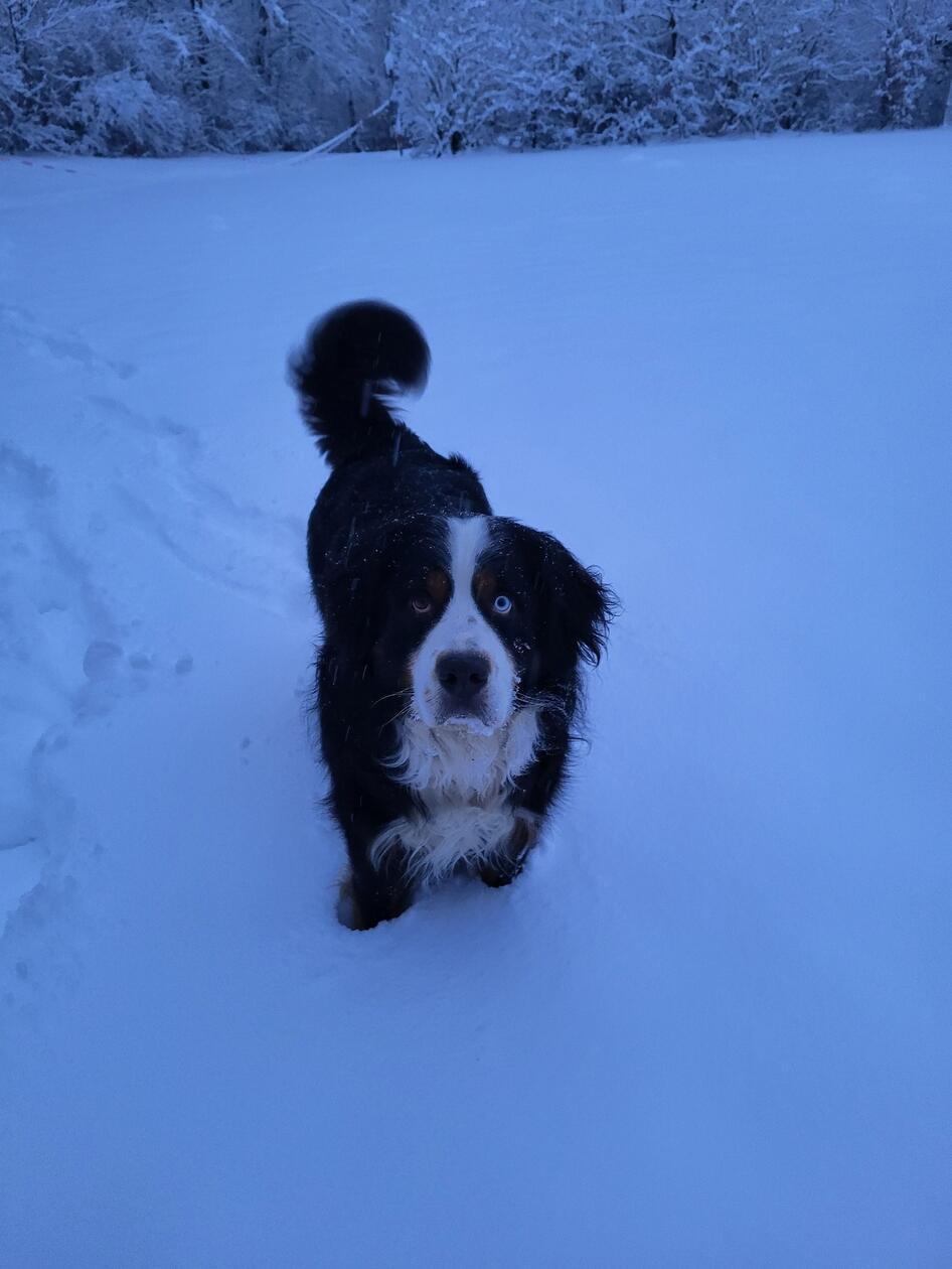 In Neumarkt und Umgebung liegt Schnee so weit das Auge reicht.