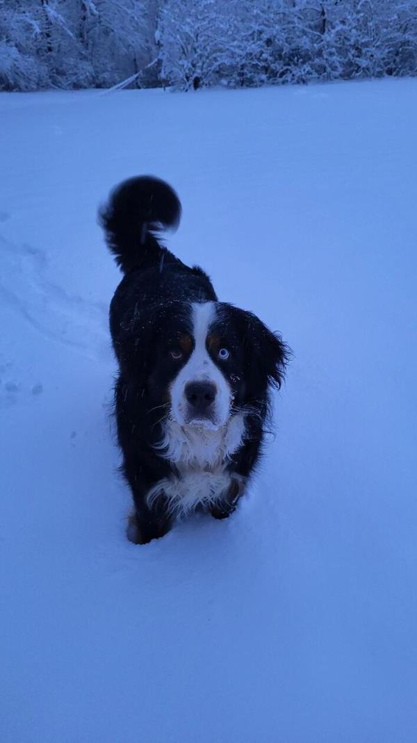 In Neumarkt und Umgebung liegt Schnee so weit das Auge reicht.
