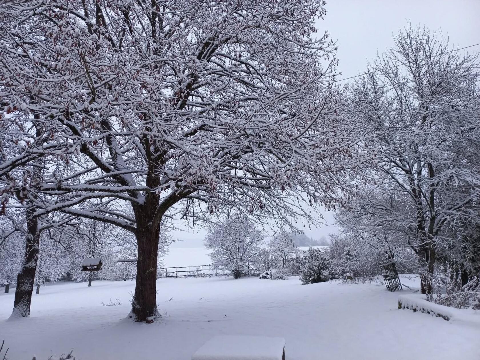 In Neumarkt und Umgebung liegt Schnee so weit das Auge reicht.