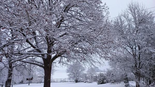 In Neumarkt und Umgebung liegt Schnee so weit das Auge reicht.