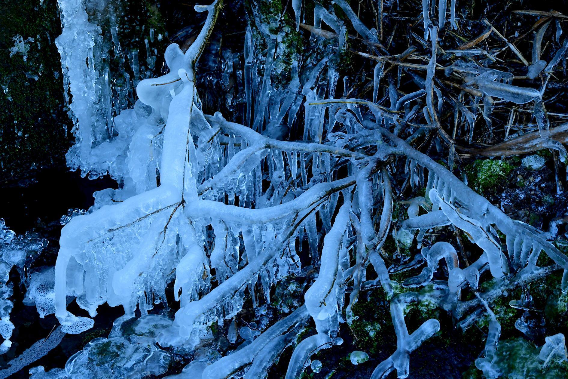 An der Obermühl Stauwehr in Ornbau herrschen Frost und Eis.