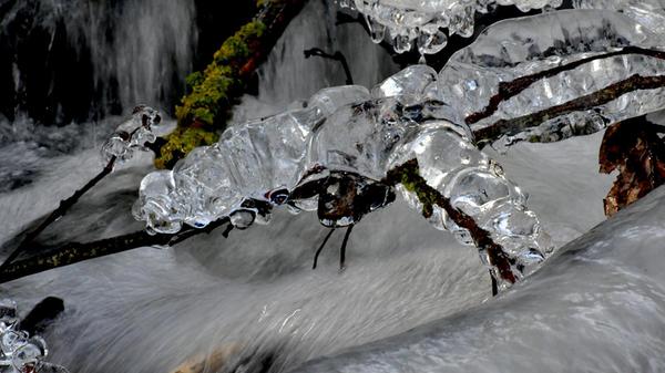 Wunderschöne Eisgebilde entstehen auch an Bächen bei dieser Witterung. Dieses hat der Fotograf "Eislibelle" genannt. Es ist gut zu erkennen, wie er auf diesen Namen gekommen ist.