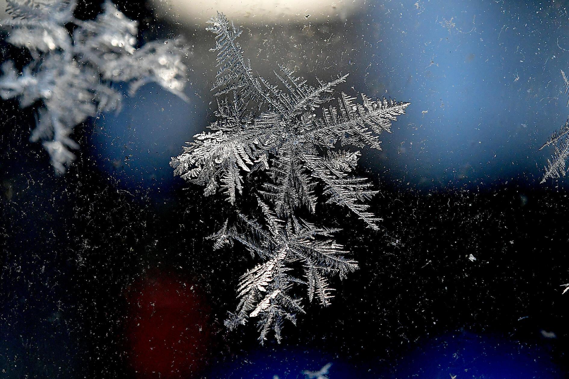 Hier ist sehr gut die geometrische Form dieses Raureifs zu erkennen.