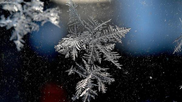 Hier ist sehr gut die geometrische Form dieses Raureifs zu erkennen.