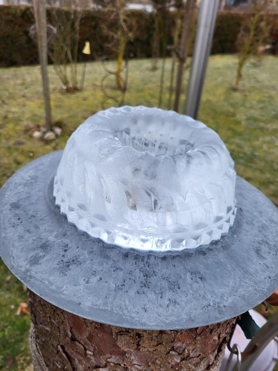 Bitte zu Tisch- bei diesen tiefen Temperaturen ist der Kreativität keine Grenze gesetzt. Eine tolle Idee für die Gartendeko entstand hier mit einer Kuchenform. Dieser Kuchen zergeht förmlich auf der Zunge, und das bei Null Kalorien.