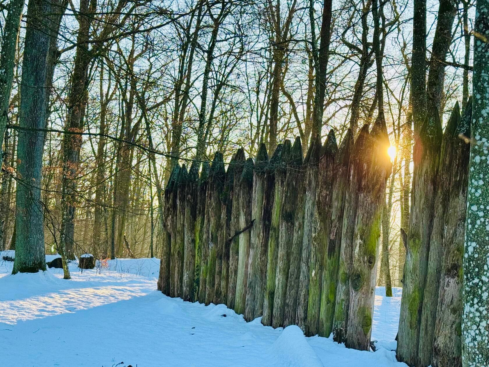 Den Limes im Burgstallwald konnte der Fotograf am Wochenende auf diesem Foto bei Sonnenschein und Schnee festhalten.