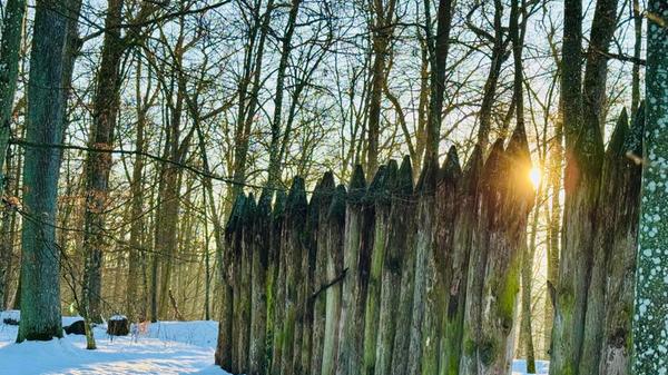 Den Limes im Burgstallwald konnte der Fotograf am Wochenende auf diesem Foto bei Sonnenschein und Schnee festhalten.