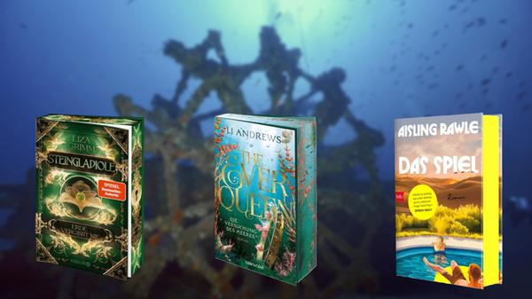 2026-01-27_12-22_collage