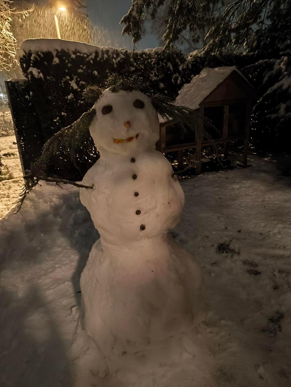 Caro Lin schickte ihren Schneemann mit Natur-Heckenhaar ins Rennen.