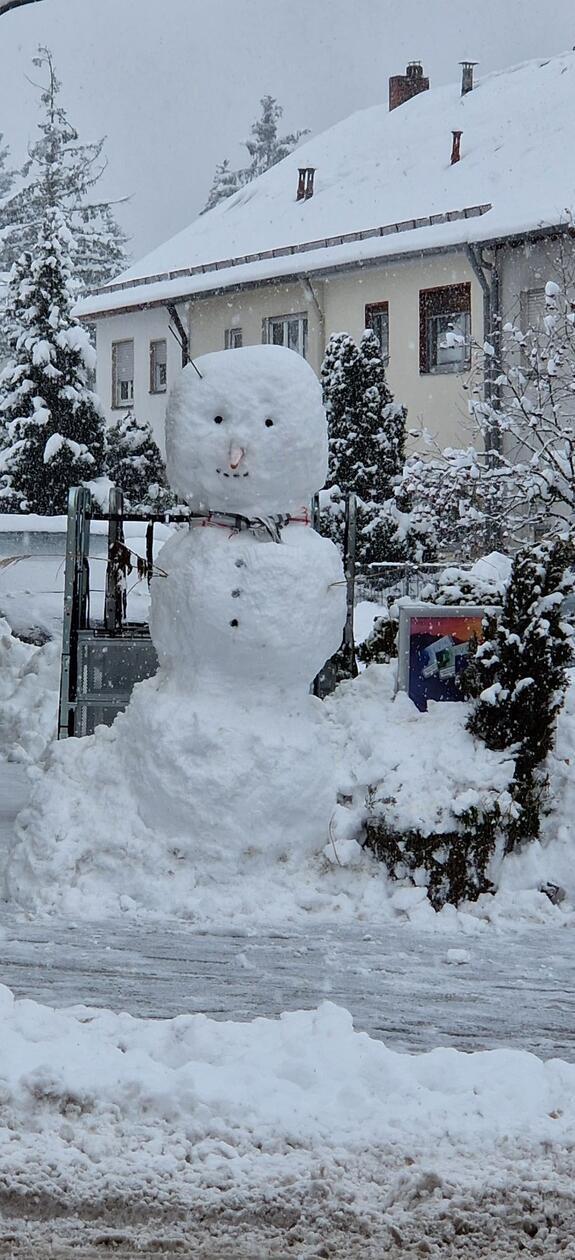 Beeindruckend groß ist dieser Schneemann in Nürnberg-Zerzabelshof. Christina Capitain schickte ihn ins Rennen - nicht, weil es ihr eigener ist, sondern weil sie ihn besonders schön fand.