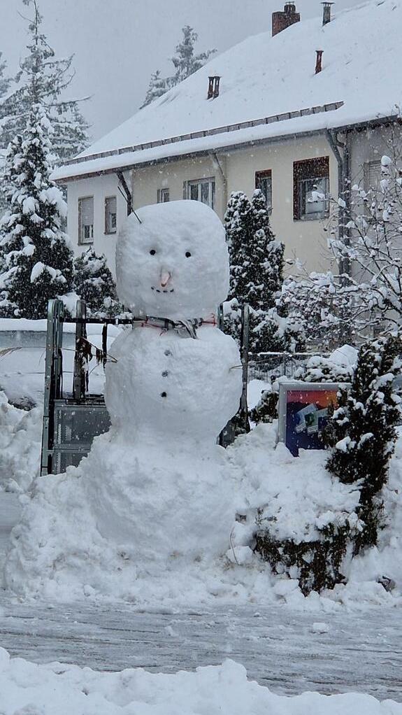 Beeindruckend groß ist dieser Schneemann in Nürnberg-Zerzabelshof. Christina Capitain schickte ihn ins Rennen - nicht, weil es ihr eigener ist, sondern weil sie ihn besonders schön fand.