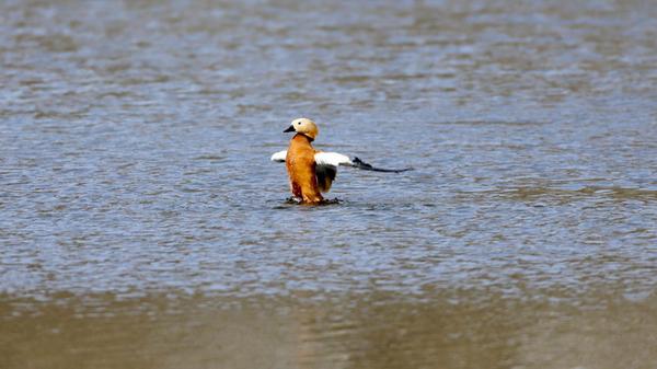 ACHTUNG: Nur frei im Leserforum oder nach Absprach