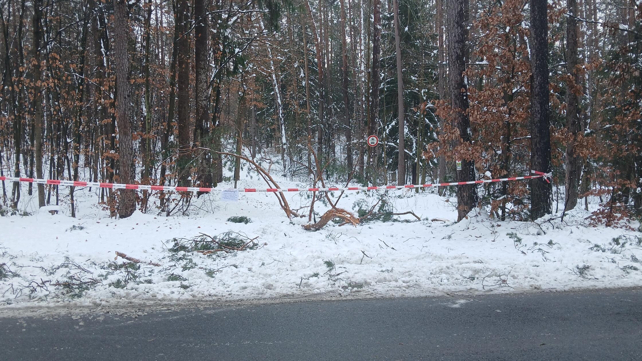 Achtung-Lebensgefahr-F-rster-in-Stadt-und-Landkreis-F-rth-warnen-vor-Schneebruch