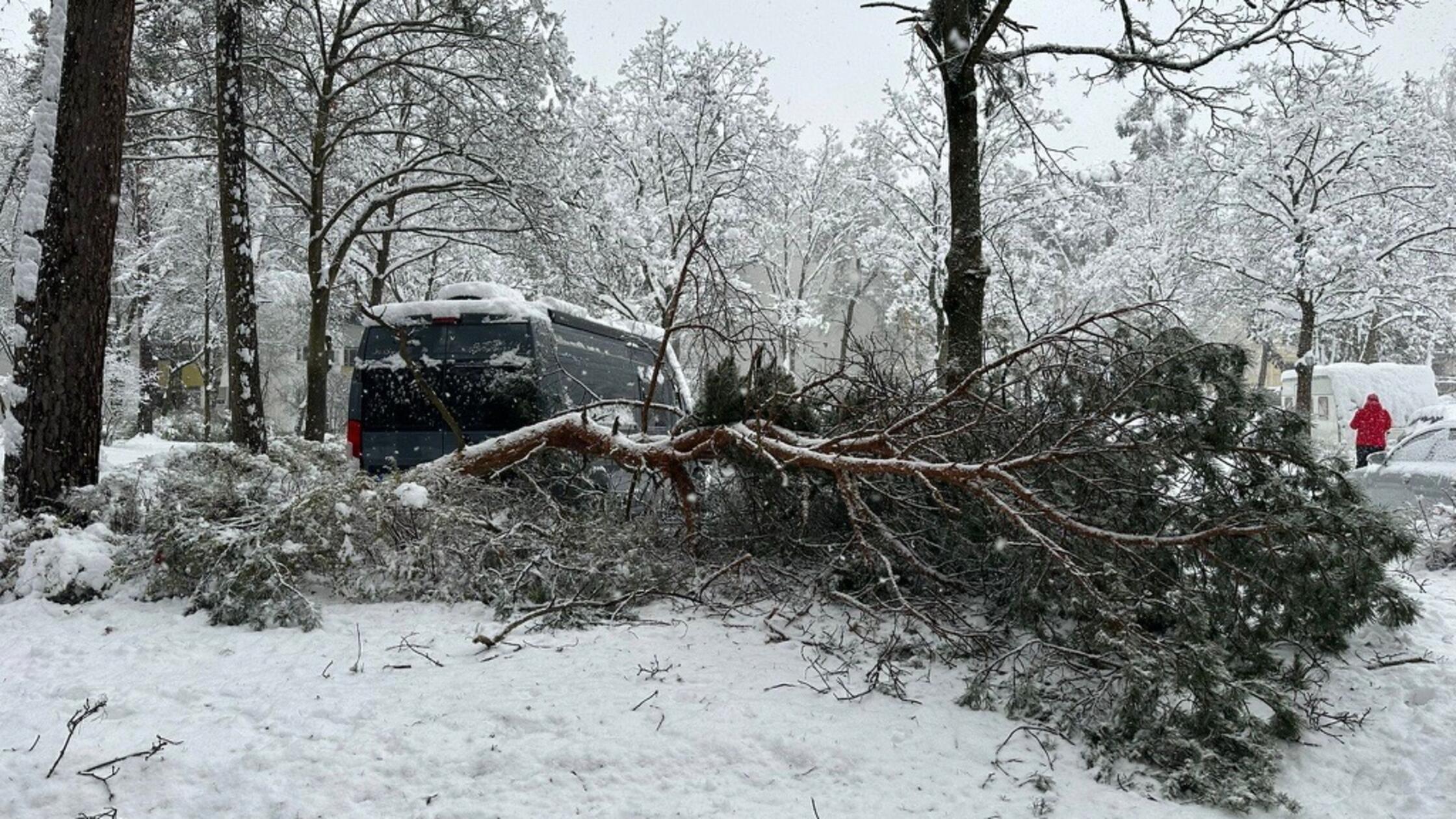 -Gro-e-Gefahr-in-Erlangen-Schulen-bleiben-am-Mittwoch-geschlossen