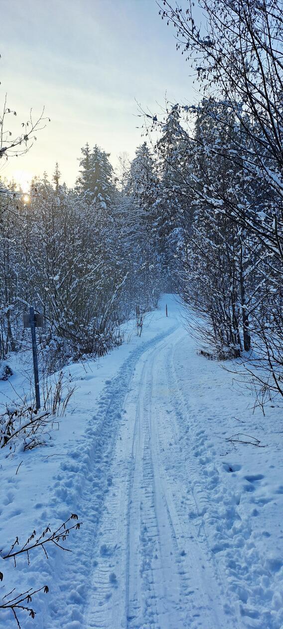 In Neumarkt und Umgebung liegt Schnee so weit das Auge reicht.