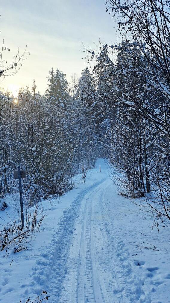 In Neumarkt und Umgebung liegt Schnee so weit das Auge reicht.