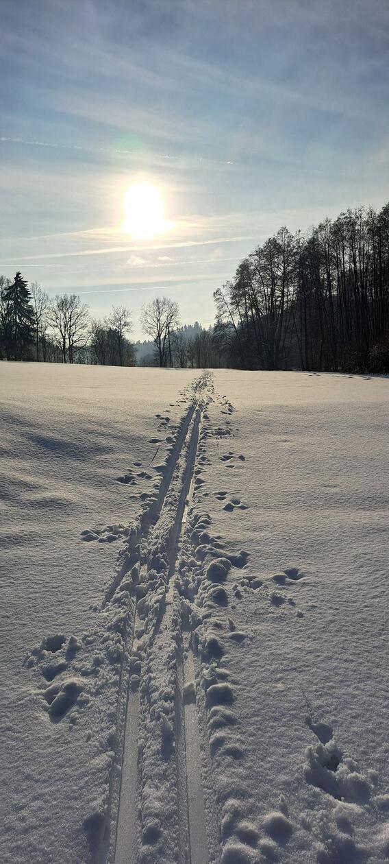In Neumarkt und Umgebung liegt Schnee so weit das Auge reicht.