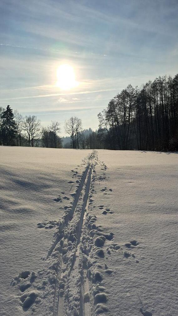 In Neumarkt und Umgebung liegt Schnee so weit das Auge reicht.