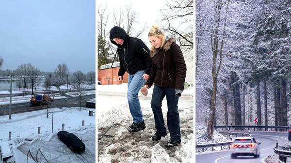 2026-01-29_08-29_collage