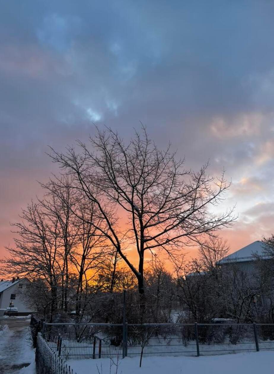 Schönstes Winterlicht gab es über Büchenbach zu bewundern.