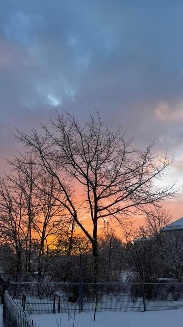 Schönstes Winterlicht gab es über Büchenbach zu bewundern.