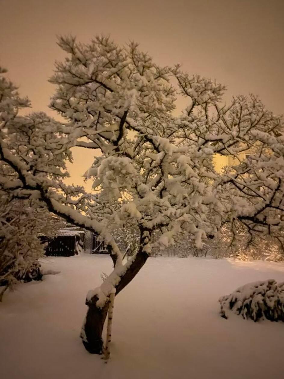 Nachts um 3 Uhr glühte es dank des Schnees fast schon taghell in Bernlohe.